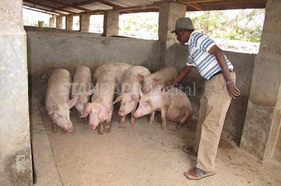 Investing in Farming in Kenya