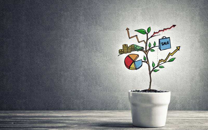 Start-ups need the right tools to thrive in today’s economy