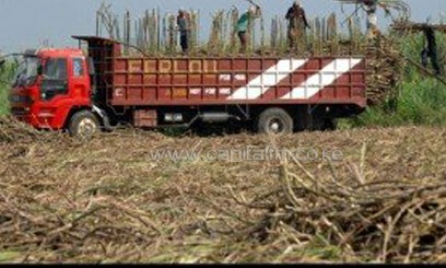 Govt launches App to bridge gaps in sugar production