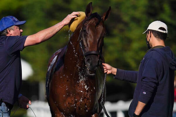 Concert Tour after training at Pimlico on Tuesday.