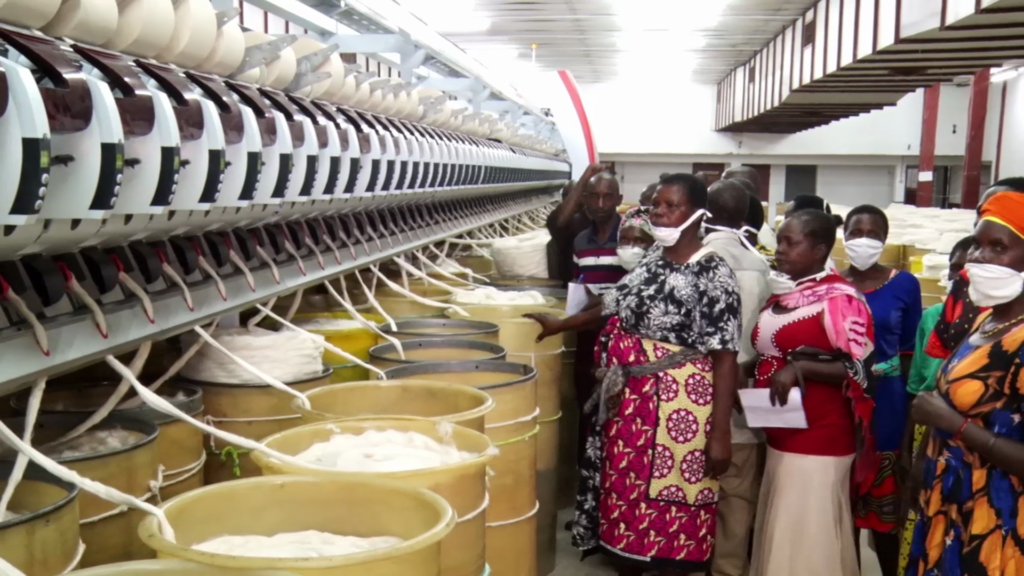 Kiambu firm reaps big from increased demand of quality fibre