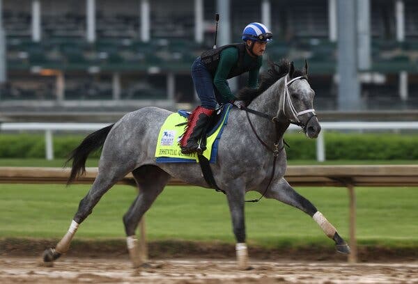 With a victory, Essential Quality would become the ninth undefeated horse to win the Derby.