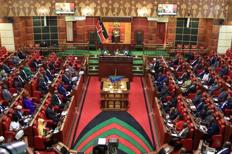 File image of Parliament in session