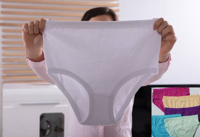 Why women are wearing ugly, undersized panties Eve woman