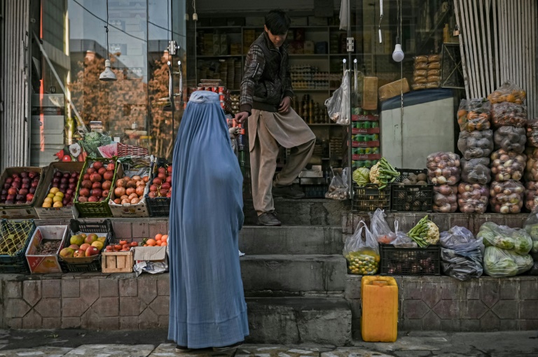 Taliban prepare new Afghan budget without foreign aid » Capital News