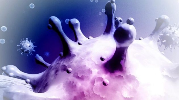 Scientists prove natural origin of coronavirus with evolution theory » Capital News