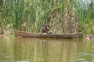Efforts to save endangered Jipe Tilapia intensifies – Kenya News Agency