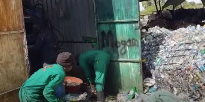 Kenyan Turns Slum Venture Into Multi-Million Company