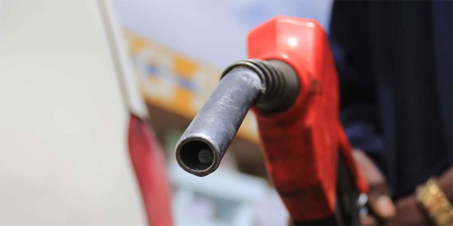 Exports fuel fast increase raises fears of dumping
