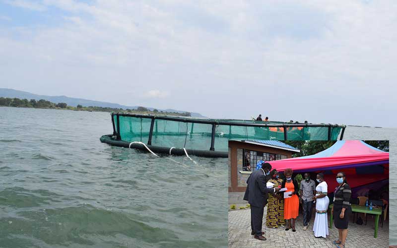 Homa Bay women to benefit from Sh11m cage fish farming project: The Standard