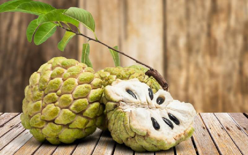 Gateway to fruitful farming of custard apples