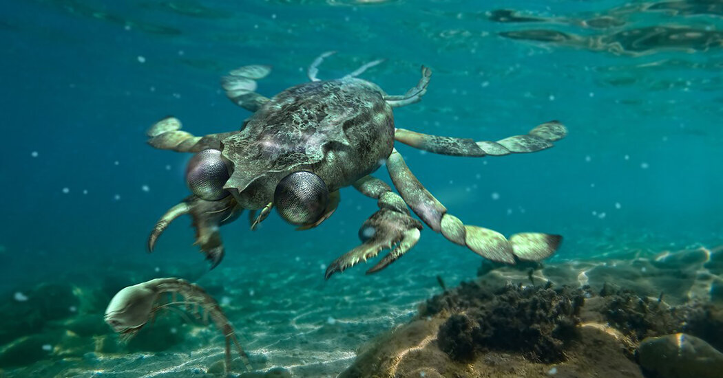 This Ancient Crab Had Unusually Huge Eyes