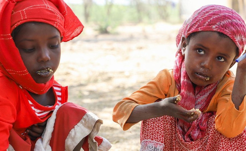 Africa: Ukraine/Russia: As War Continues, Africa Food Crisis Looms
