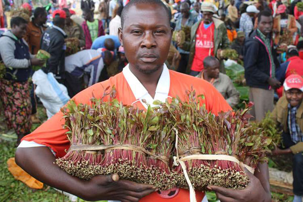 Tension as Embu, Meru miraa traders fight – Weekly Citizen