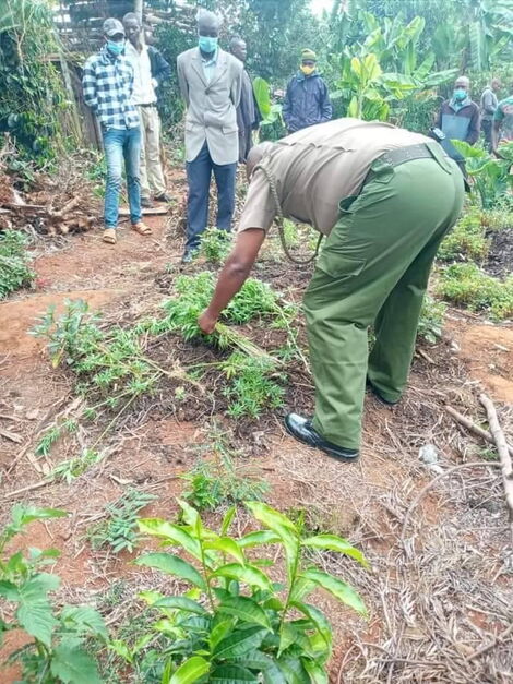 How the Drug Gang of Nandi Forest is Harassing Residents