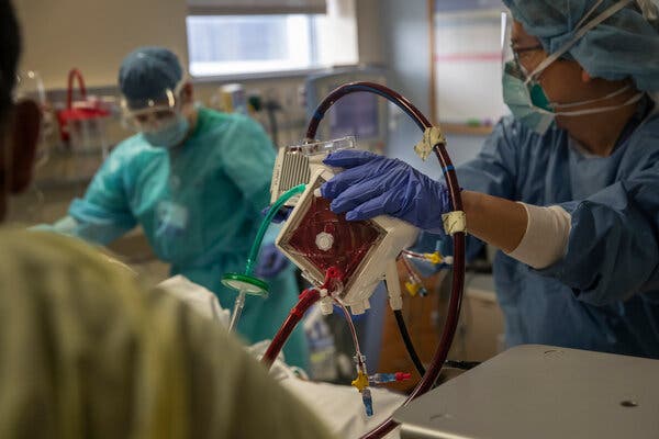 ECMO, short for extracorporeal membrane oxygenation, adds oxygen and removes carbon dioxide from a patient’s blood before pumping it back in.