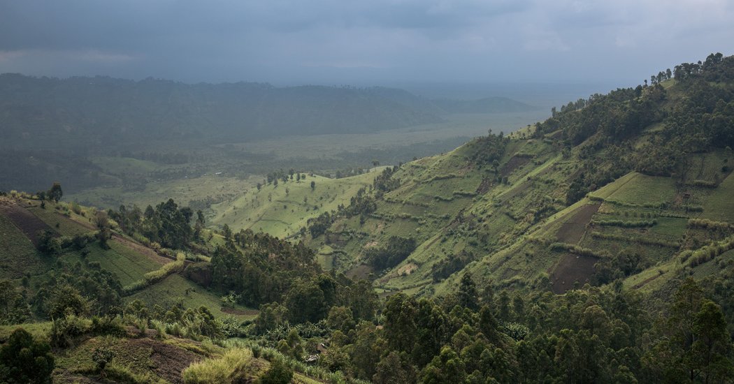 12 Rangers Among 17 Killed in Congo Park Ambush