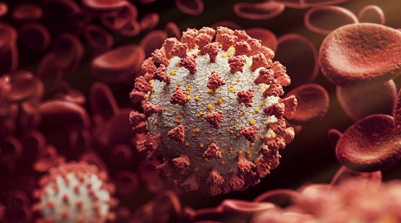 There are Three Covid-19 Variants of Concern in Kenya – Reserchers