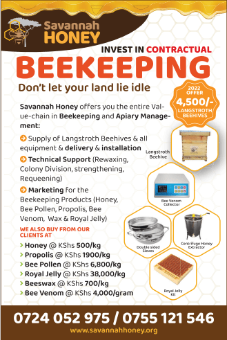 Special offer on Langstroth hives to maximize on the swarming season 1 Special offer on Langstroth hives to maximize on the swarming season - Bizna Kenya