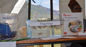 Taita steps up fisheries sector – Kenya News Agency