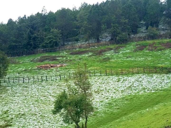 Rare snow occurrence in Marakwet West – Kenya News Agency