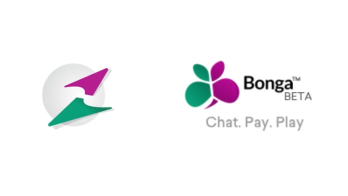 Bonga Chat App No One Asked For