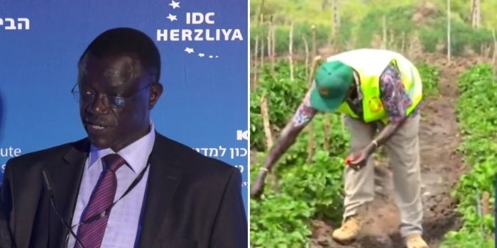 Meet Ex-Military Man Minting Millions From Bird Farming