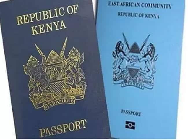 New law bars dual-citizens from diplomatic post