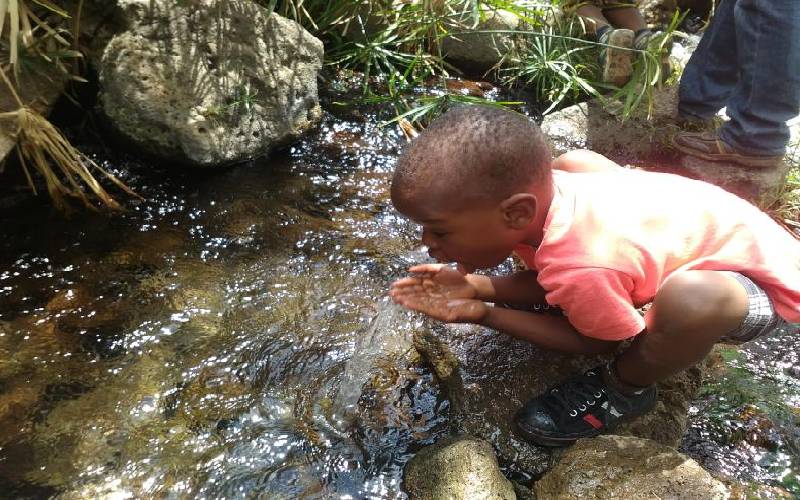 Fears as Mzima Springs face risk of drying up: The Standard