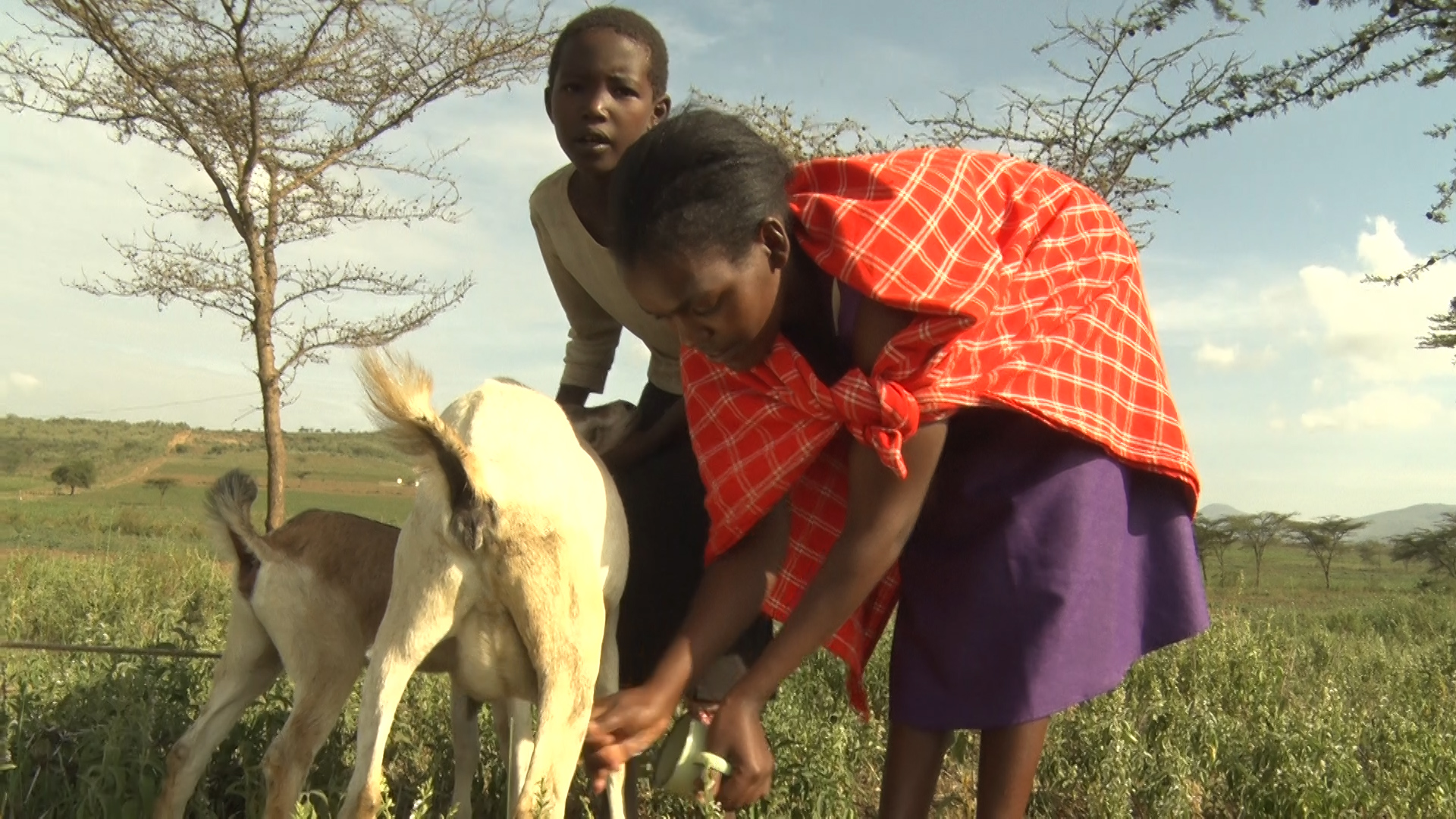 FGM survivor dedicates her life to preaching against the act » Capital News