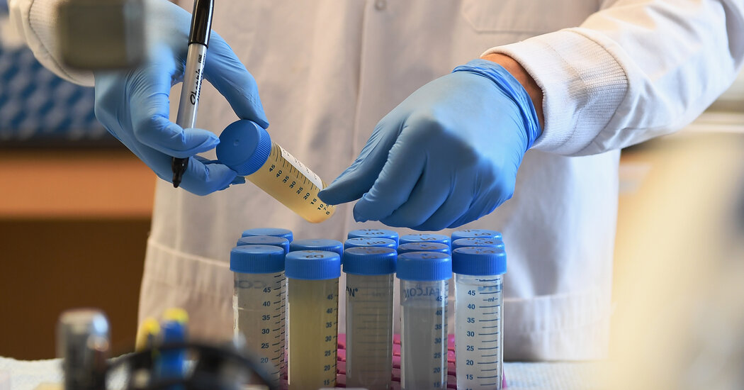 From the Wastewater Drain, Solid Pandemic Data