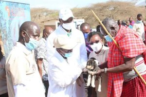 Mass goats vaccination launched in Kajiado – Kenya News Agency