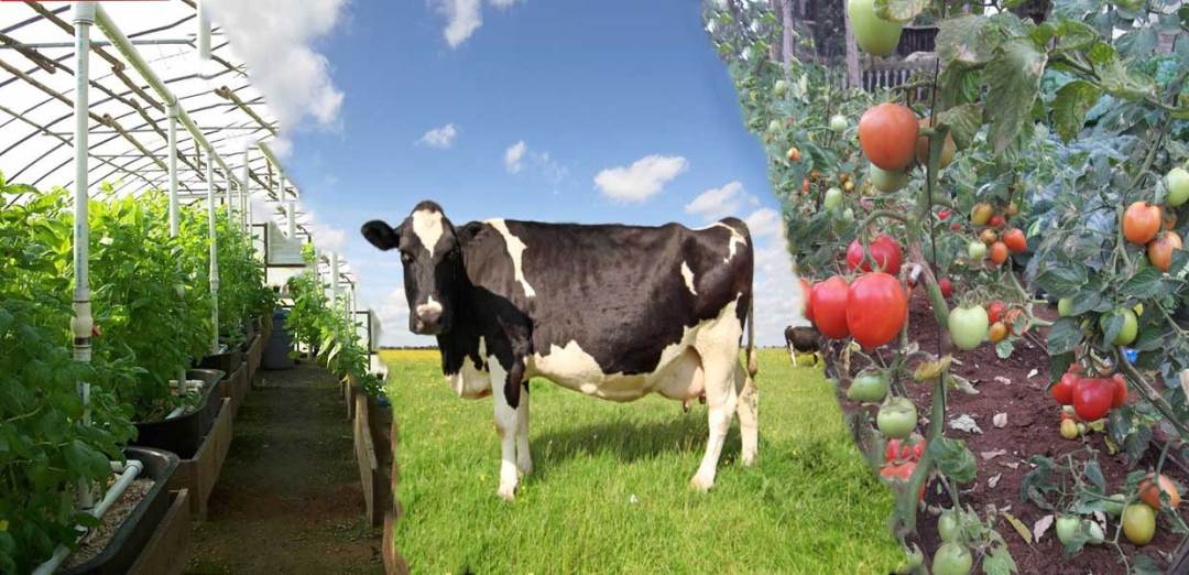 Over 17,000 targeted for jobs as EU lifts agribusiness with Sh22b funding