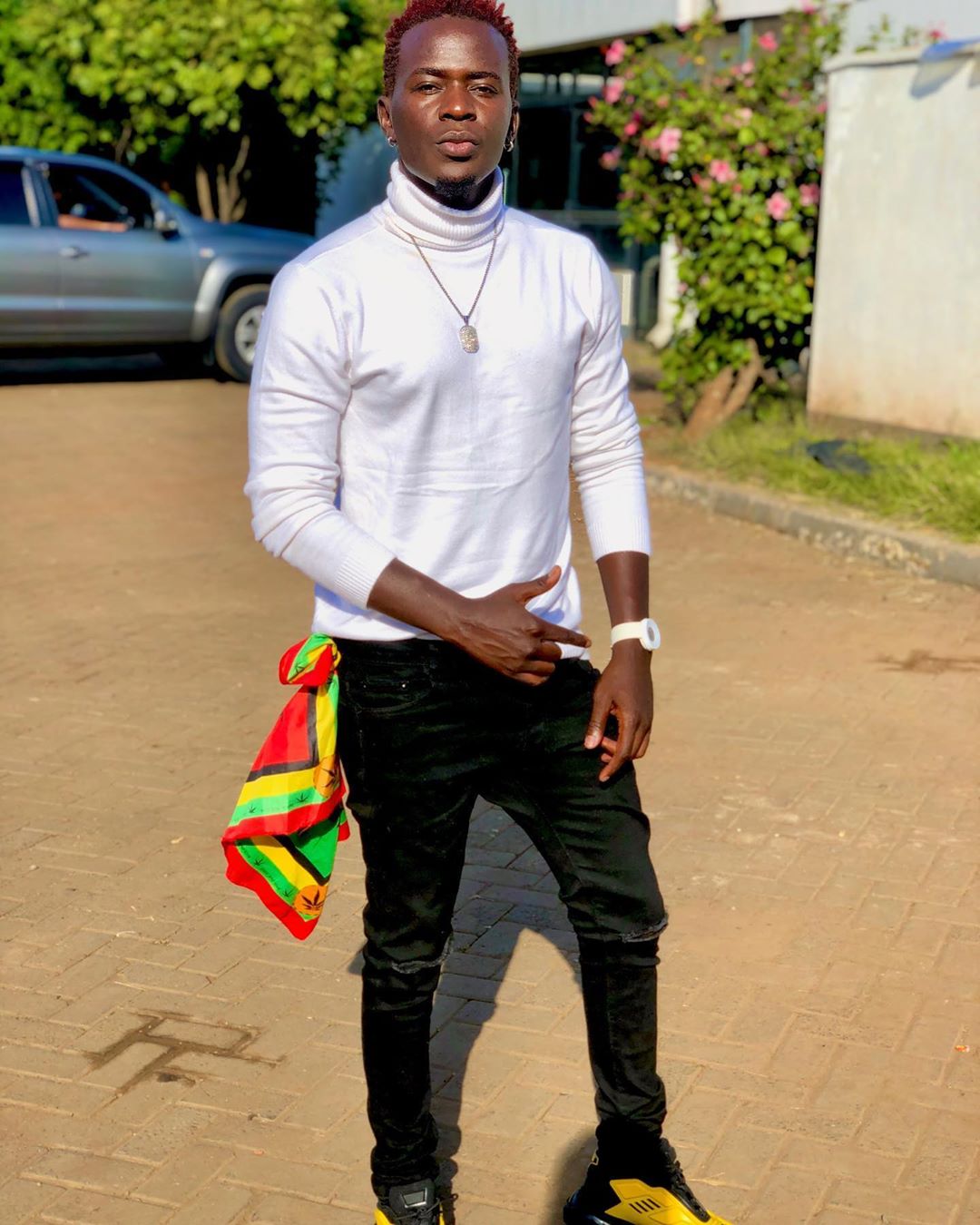 willy paul