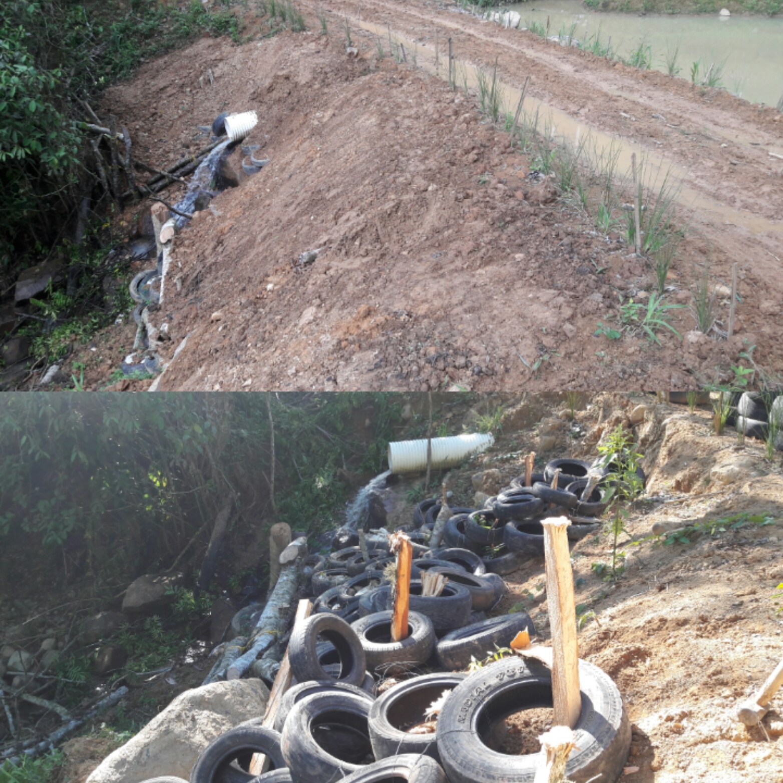 Tyre Farming