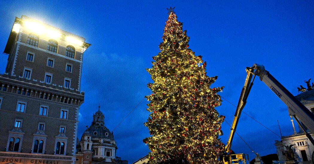 Less Mange, More Frills: Rome’s New Mayor Bets on His Christmas Tree
