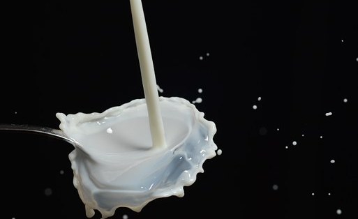 Kenya: Dairy Board Allays Fears on Milk Import From America