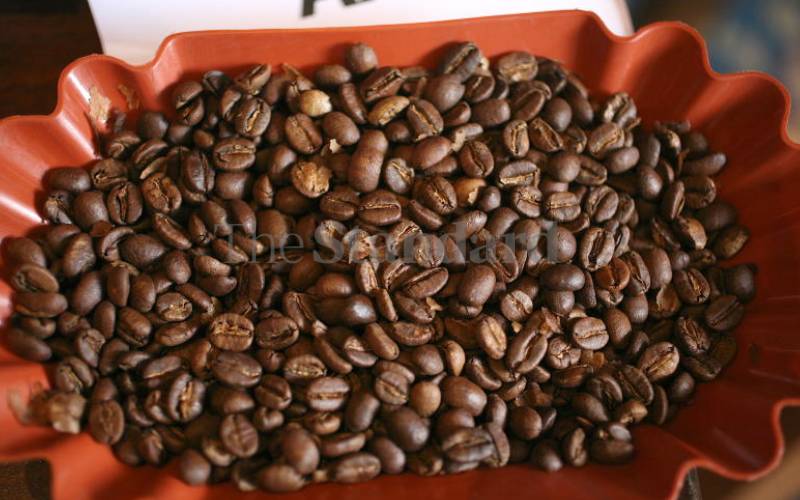 New coffee marketing company promises to end farmers woes