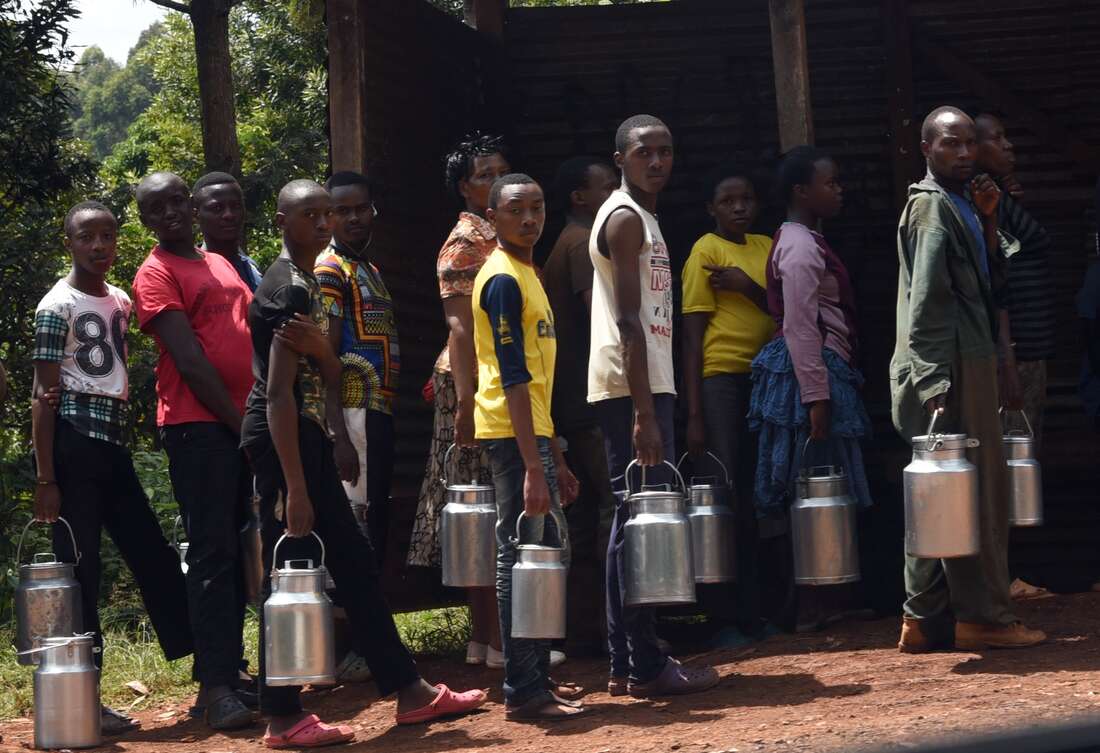Dairy farmers accuse firm of duping them on prices