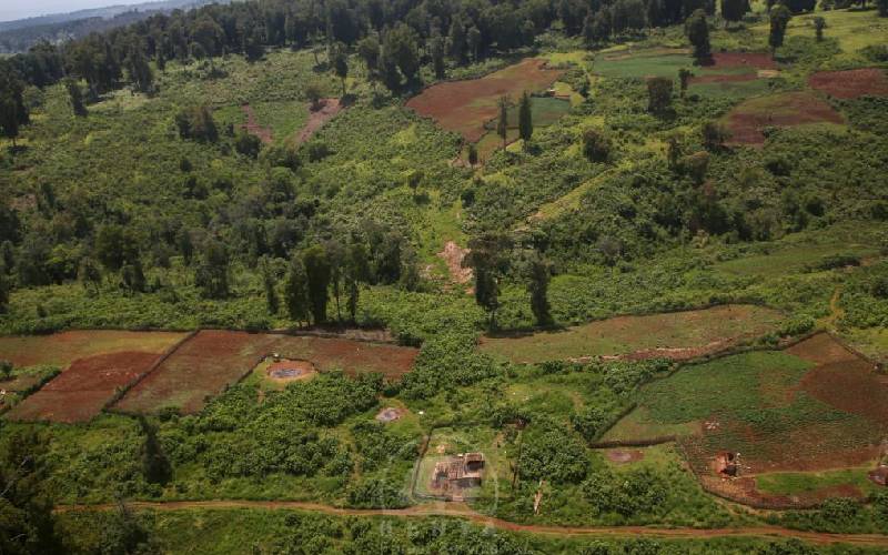 Over 200 families evicted from Sossio forest as as government reclaims land