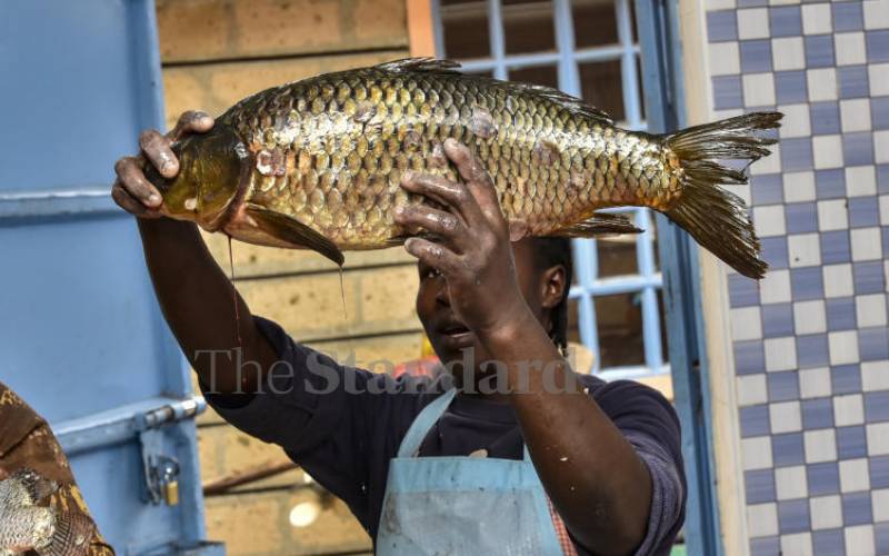 Fishermen at Lake Naivasha protest over new KMA certification