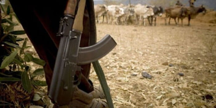 Laikipia Bandits Sneak Into Heavily Guarded Area, Kill and Steal Cattle