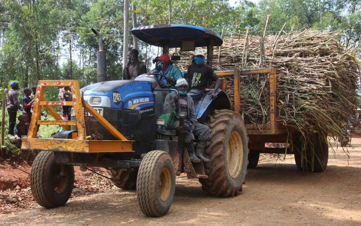 Sweet news for cane farmers as Sh62b debt waived: The Standard