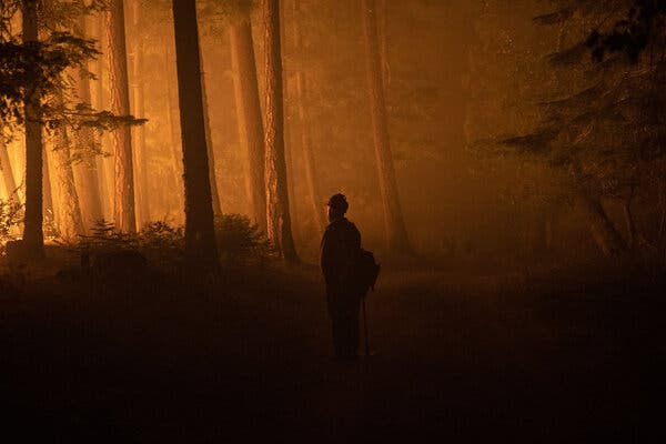 A firefighter observing a controlled burn in Genesee, Calif., last month.&nbsp;