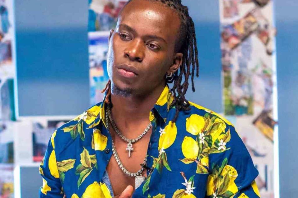 Willy paul