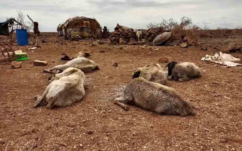 Marsabit residents to finally quench thirst as Sh2b dam set for completion