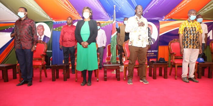 I Switch Off the TV When Ruto Starts Speaking - Charity Ngilu