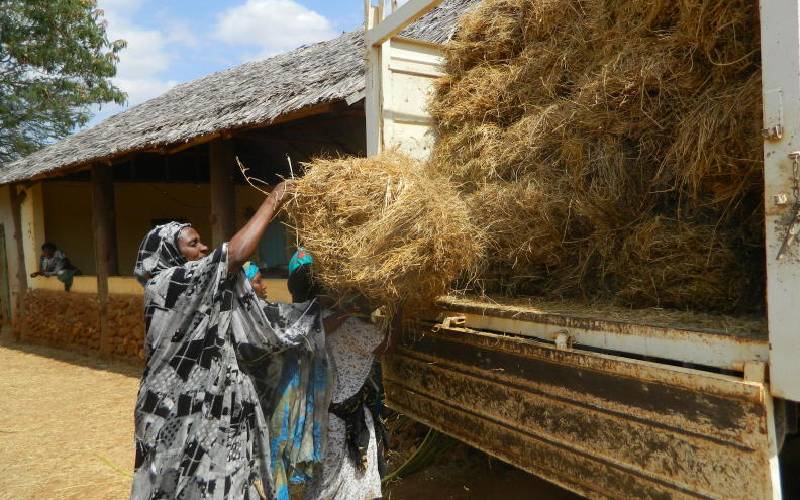 Push for more resources at the heart of political realignment