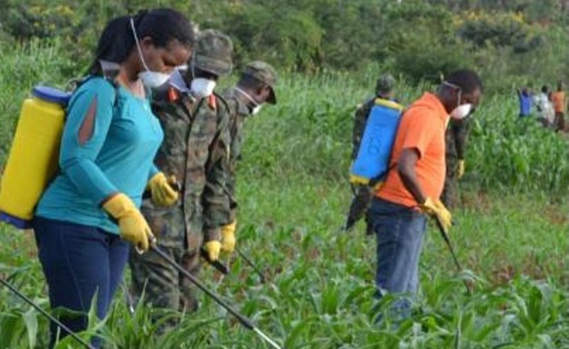 Kenya: Dangerous Pesticide Use - What Must Be Done to Protect the Health of Kenyans
