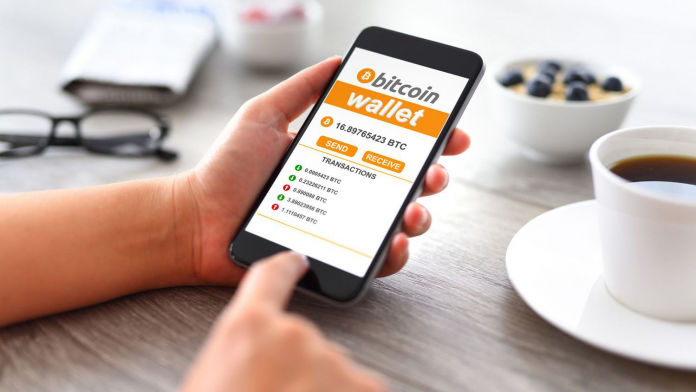 Risks Of Choosing Single Digital Wallet For Entire Crypto Corpus